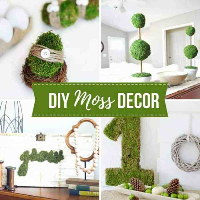 How to make a moss decoration