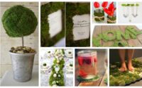 Moss decor diy ideas