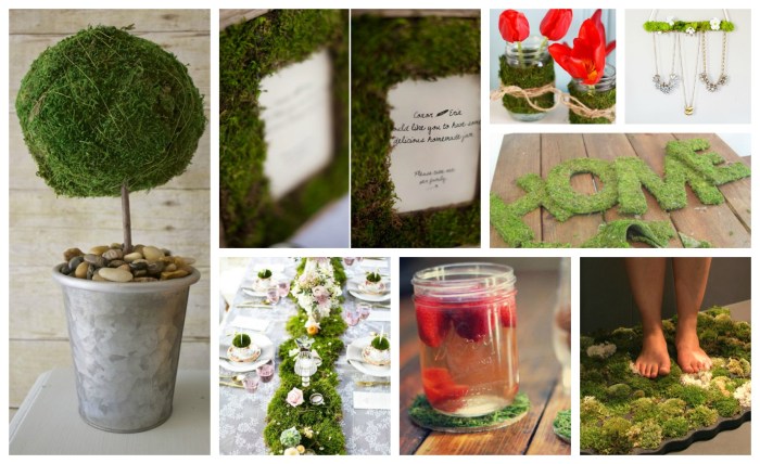 Moss decor diy ideas